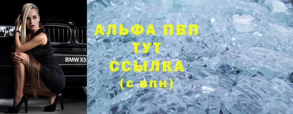 стафф Арсеньев