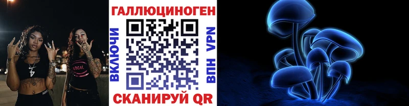Галлюциногенные грибы Psilocybine cubensis  продажа наркотиков  Горячеводский 
